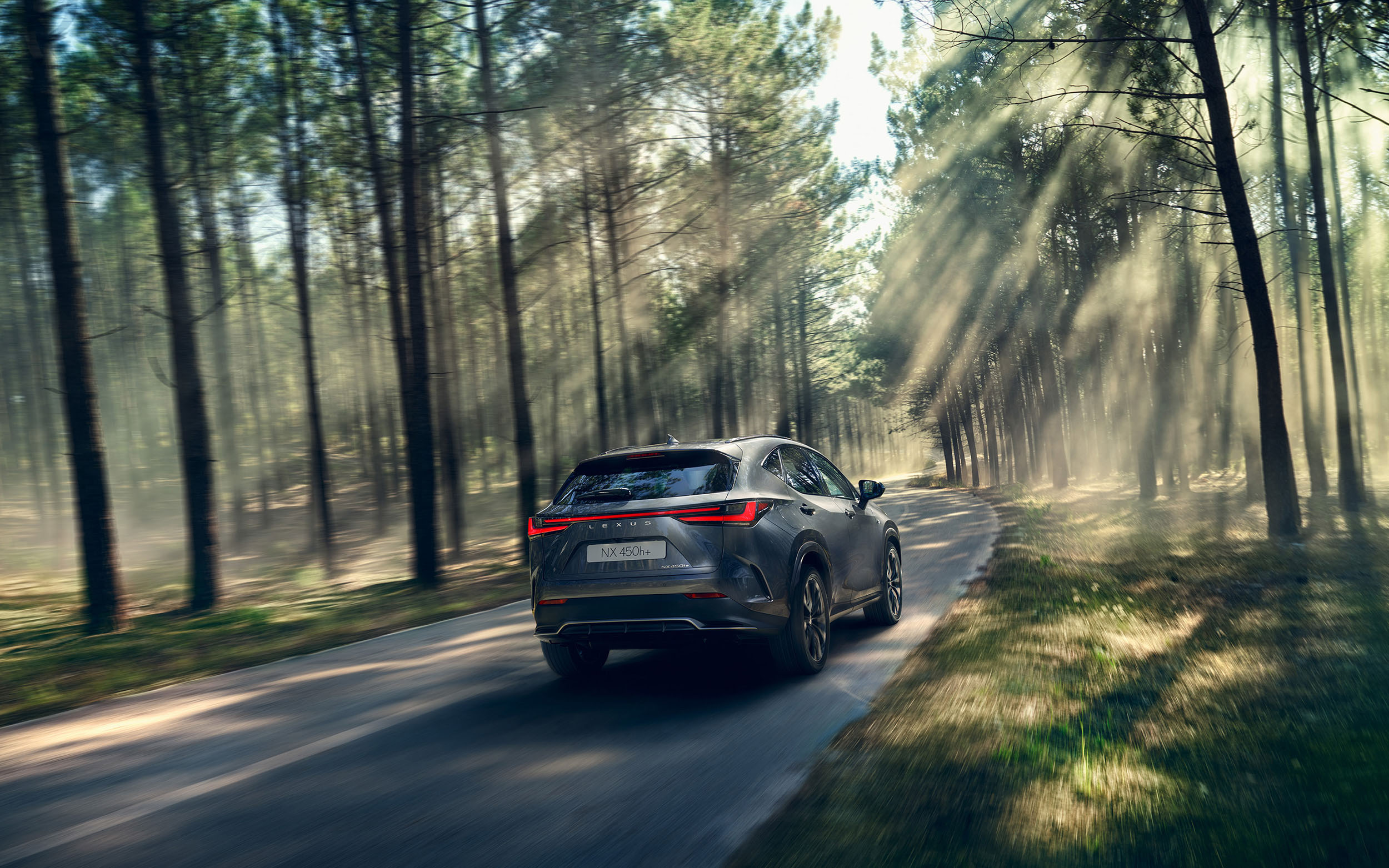 Lexus NX fährt durch Wald mit Sonnenstrahlen die durch die Bäume scheinen